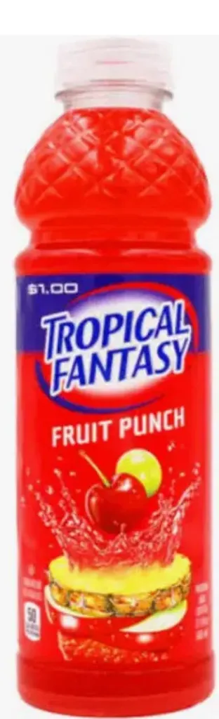 TROPICAL FANTASY FRUIT PUNCH 24X591ML