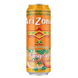 Arizona Orangeade - 650 ml x24