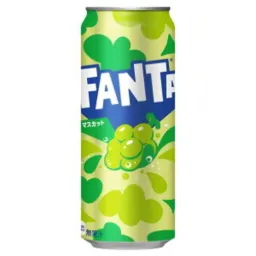 Fanta Muscat Grape 24x500ml